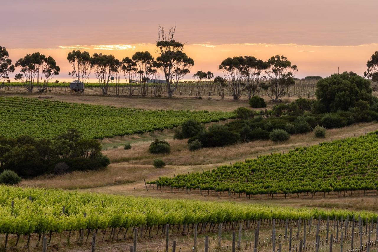 Hotel California Road At Inkwell Wines Mclaren Vale Luaran gambar
