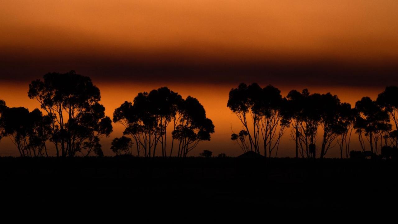 Hotel California Road At Inkwell Wines Mclaren Vale Luaran gambar