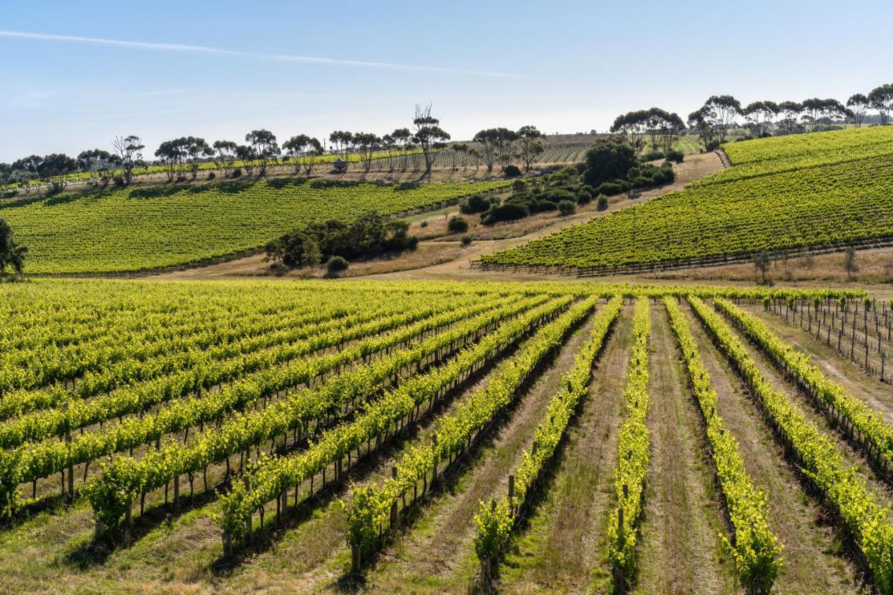 Hotel California Road At Inkwell Wines Mclaren Vale Luaran gambar